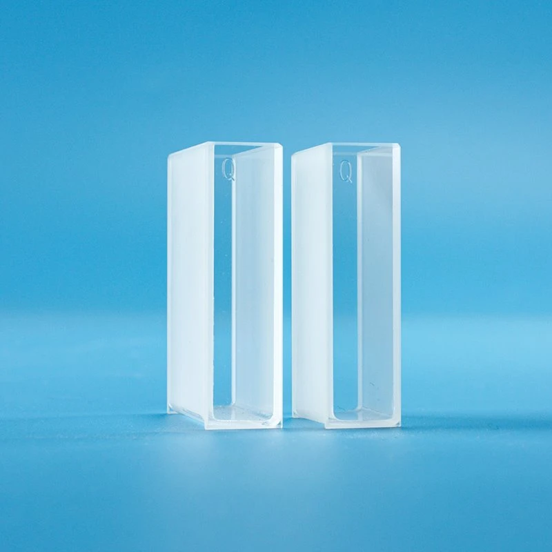 Vicus Cuvette